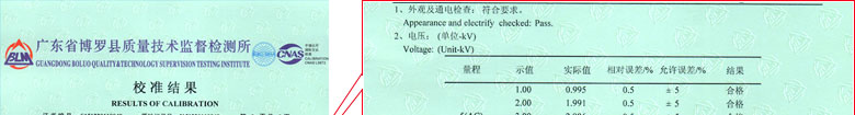 電力小黄片污视频證書報告結果頁