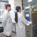 嚴格把控小黄片免费视频精度圖片