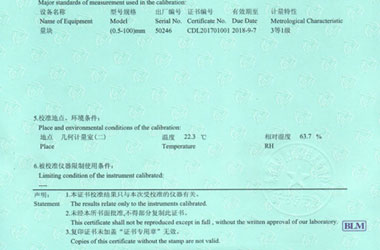 製造業小黄片污视频證書報告說明頁圖片